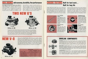 1965 Ford Trucks-04-05.jpg